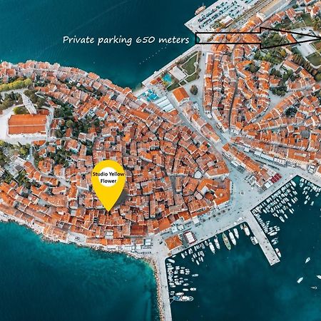 Studio Yellow Flower Rovinj Zewnętrze zdjęcie