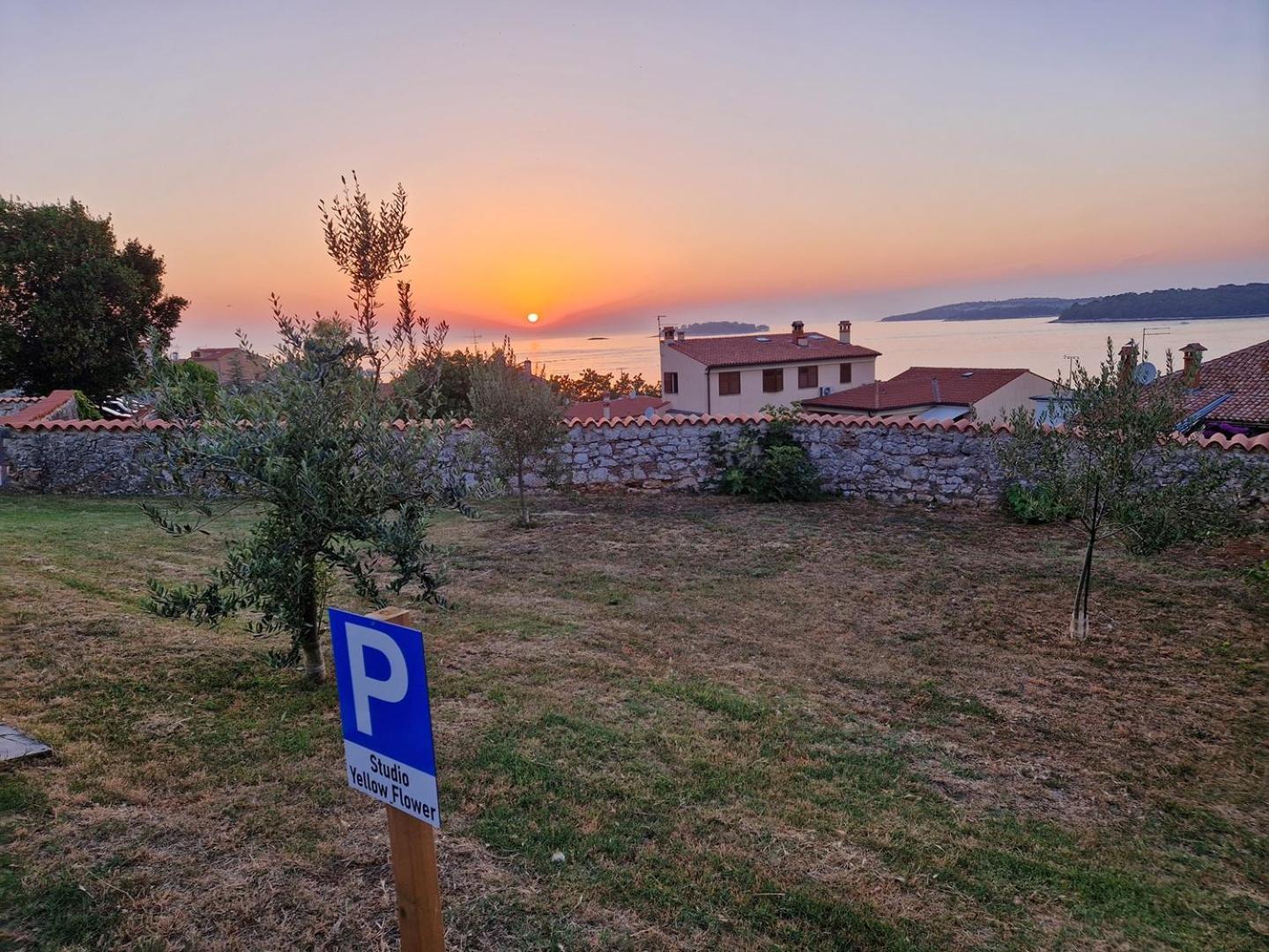 Studio Yellow Flower Rovinj Zewnętrze zdjęcie