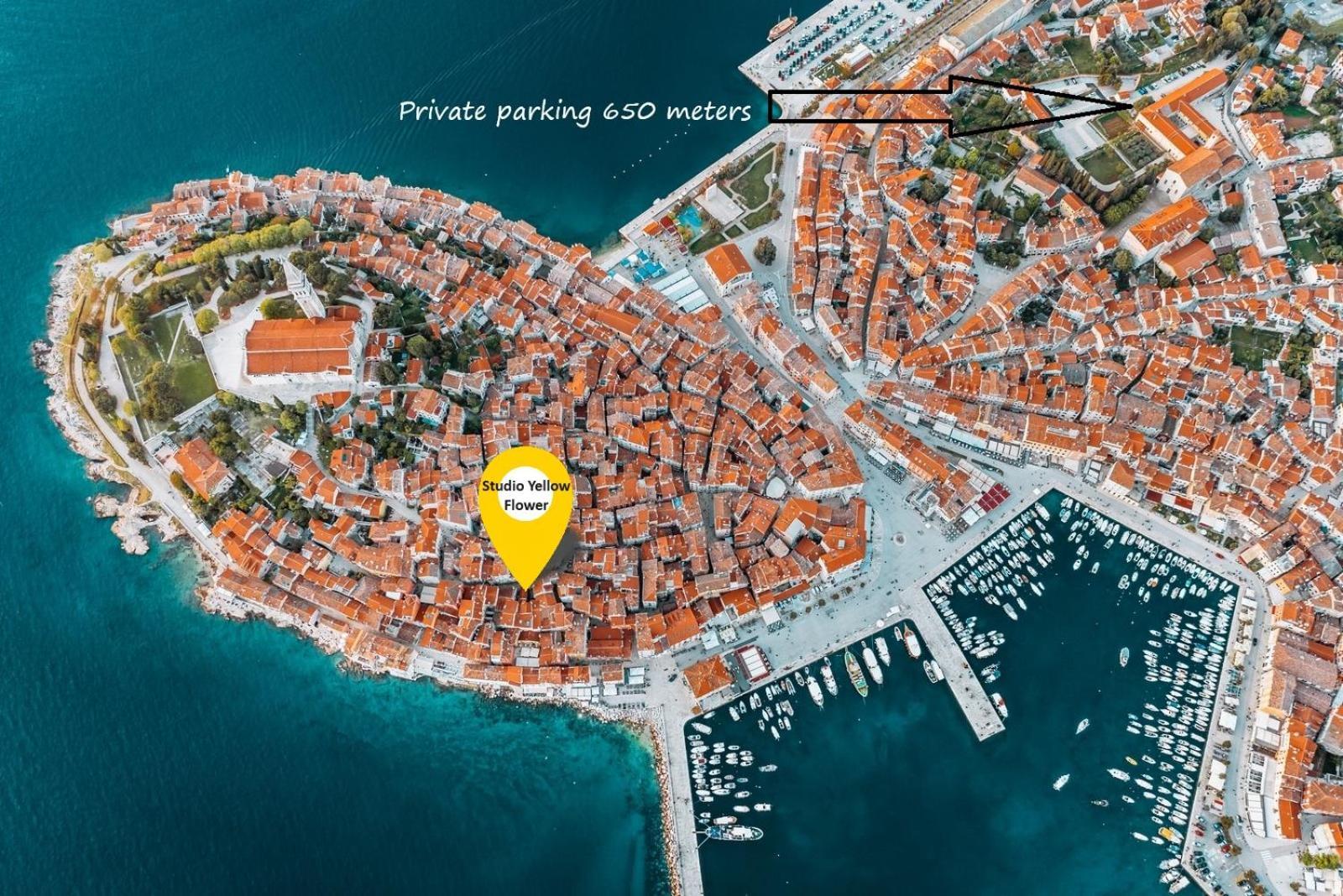 Studio Yellow Flower Rovinj Zewnętrze zdjęcie