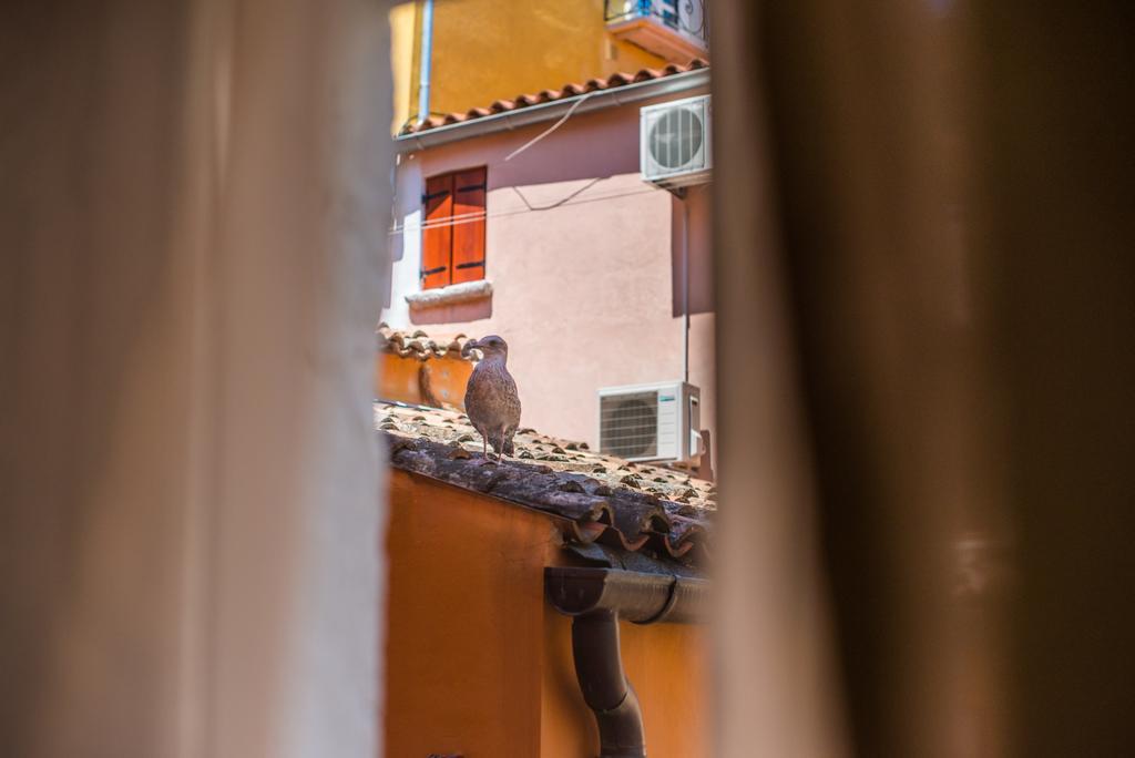 Studio Yellow Flower Rovinj Zewnętrze zdjęcie