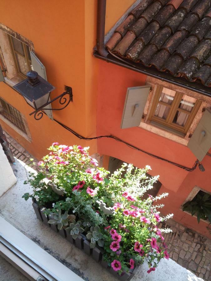Studio Yellow Flower Rovinj Zewnętrze zdjęcie