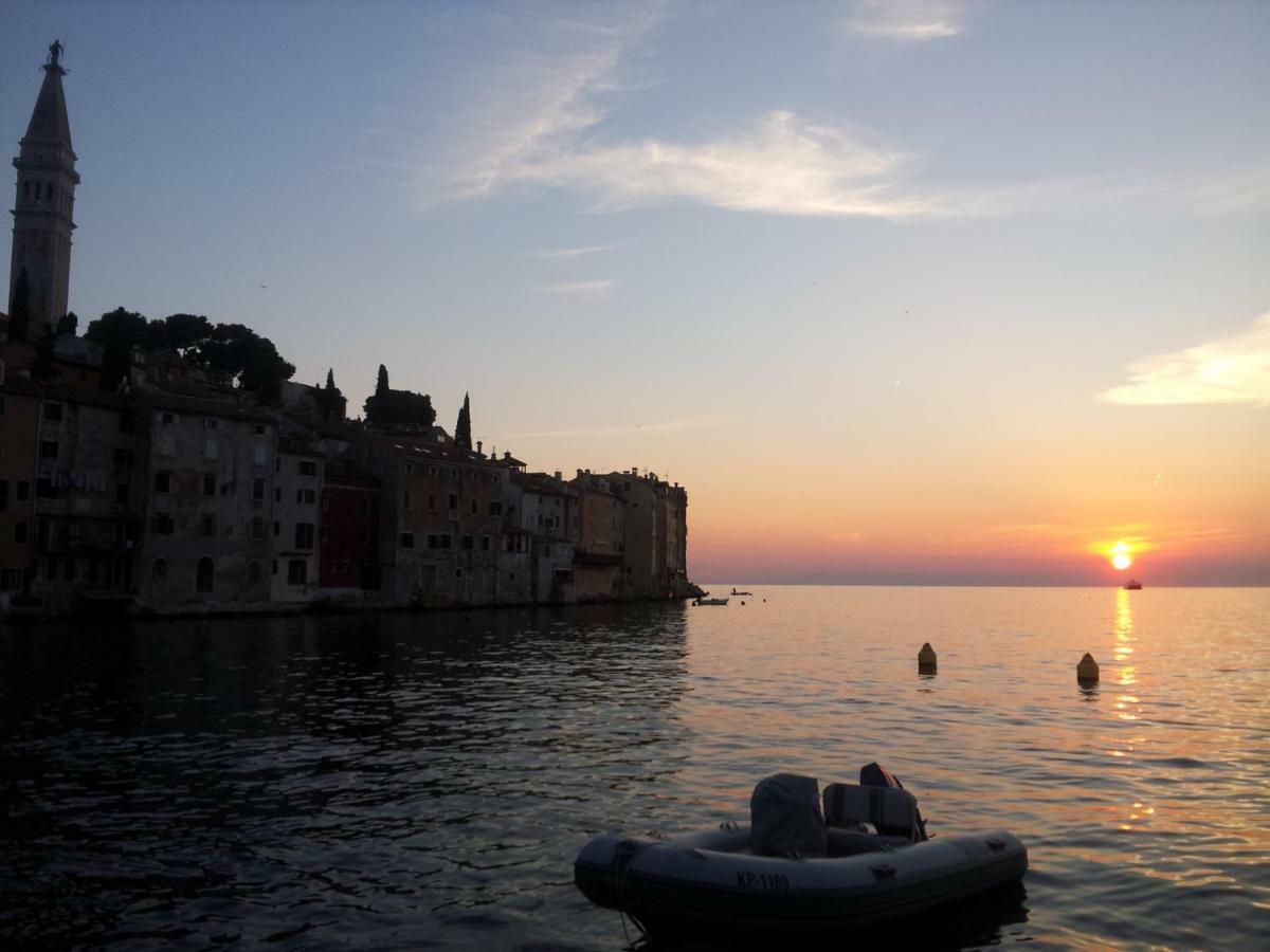 Studio Yellow Flower Rovinj Zewnętrze zdjęcie